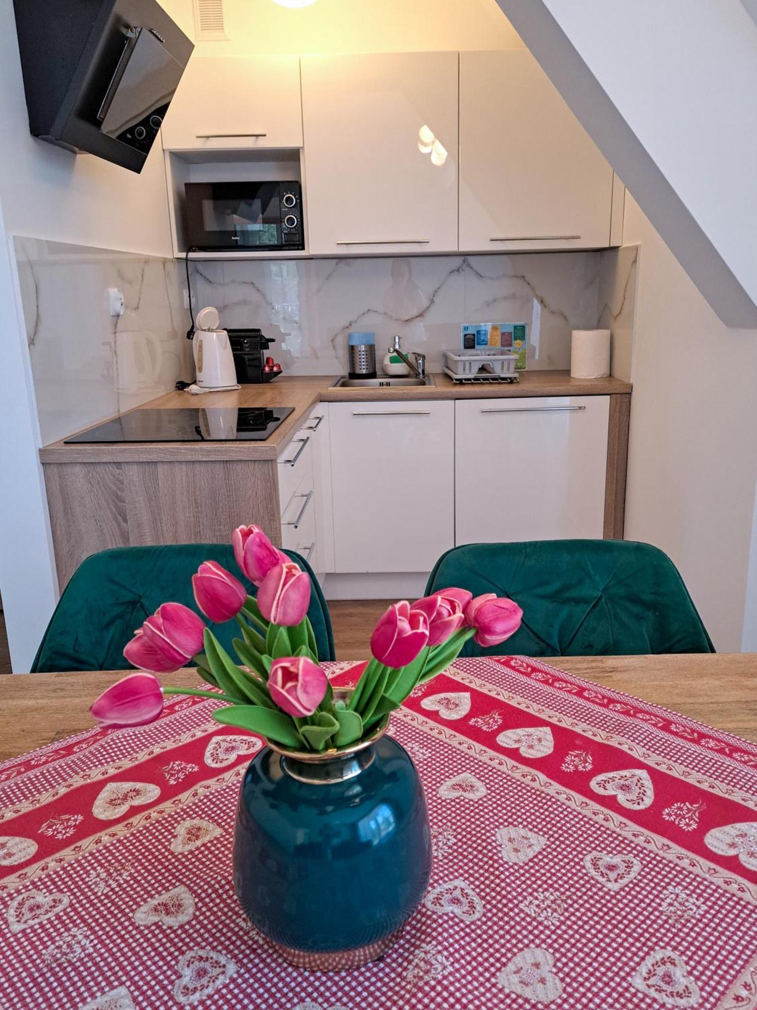 Bory6A Apartamenty & Free Parking Zakopane Kültér fotó